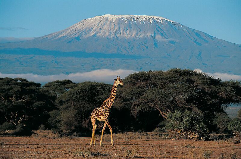 Mount Kilimanjaro. GettyImages@unsplash