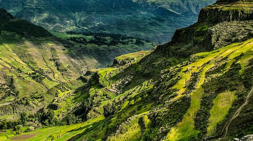 Green hills of Ethiopia, Africa. Unsplash@Erik Hathaway