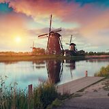 Custom and Private Bike Tours in Holland