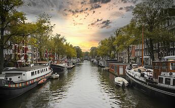 A canal in Amsterdam lined with houseboats and trees at sunset.