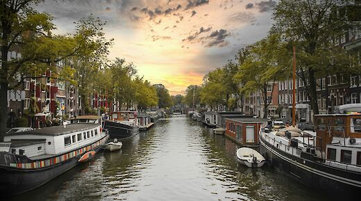 A canal in Amsterdam lined with houseboats and trees at sunset.