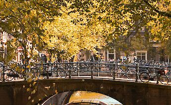 Romantic Amsterdam, Holland. Claudia Lorusso@Unsplash