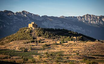 Vineyards in La Rioja. MariolaPergola@unsplash