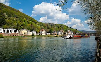 The Neckar River in Heidelberg. Peter Schulz@Unsplash