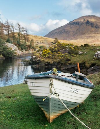 Connemara National Park, Ireland. AshleighJoy@unsplash