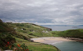 Muckross Road, Killarney National Park, Ireland. AlonaAldushyna@Unsplash