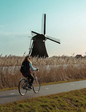 Biking by the Kinderdijk. Bernardo Lorena Ponte@Unsplash