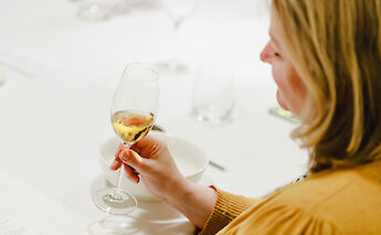 Wine tasting in Putignano