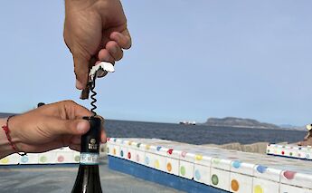 Wine tasting, Palermo, Italy.