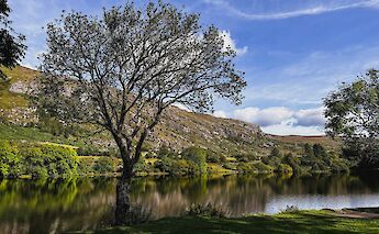 West Cork, Ireland. Guilherme Ramos@Unsplash