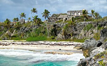 Barbados. Kathryn Maingot@Unsplash