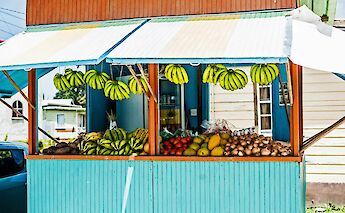 Fruit stand in Bridgetown, Barbados. Tom Jur@Unsplash