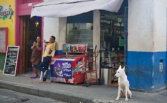 Kids and dog outside a store, Getsemani, Cartagena, Colombia. csw27@Flickr