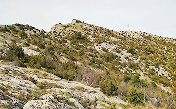 A rocky hillside with scattered shrubs and a cross visible atop a distant ridge.