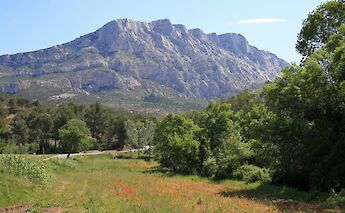 Montagne Sainte-Victoire in Aix-en-Provence, France, with a foreground of poppies and lush green trees under a bright blue sky.