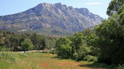 Montagne Sainte-Victoire in Aix-en-Provence, France, with a foreground of poppies and lush green trees under a bright blue sky.