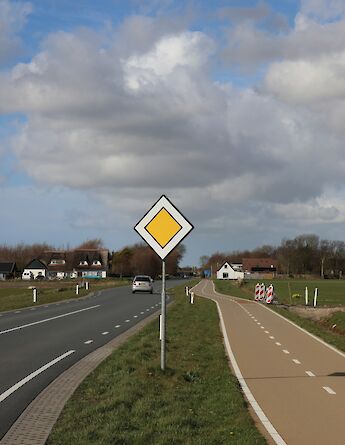 A beautiful dedicated bike path on Texel Island. Julia Taubitz@Unsplash