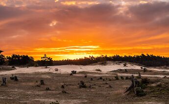 A picturesque sunset at De Hoge Veluwe National Park, Holland. Erik van Dijk@Unsplash