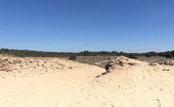 Hoge Veluwe National Park. Eric de Redelijkheid@Flickr