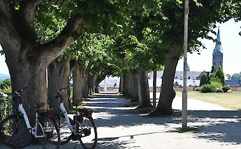Dedicated bike paths in Germany. I Do Nothing But Love@Unsplash