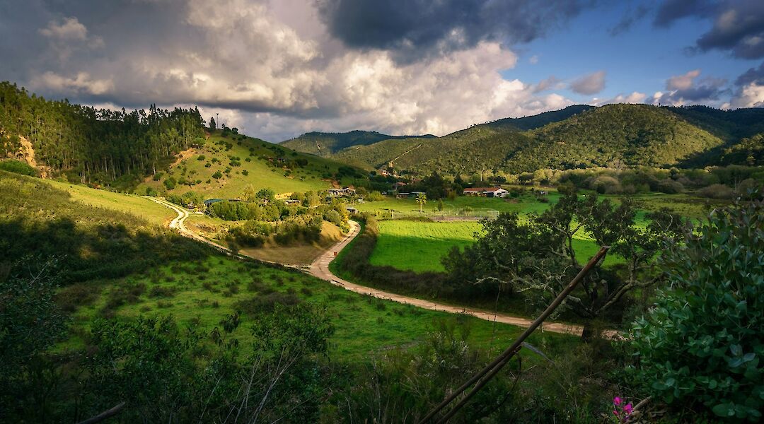 Idyllic views in Alentejo. Luis Alvoerio@unsplash