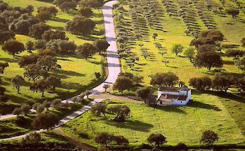 Scenic routes in Alentejo. Zoi Koraki@flickr