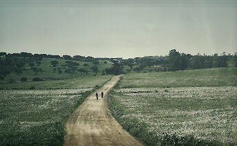 Peaceful, picturesque cycle routes. tollr