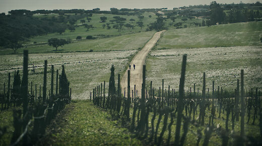 Scenic gravel routes. tollr