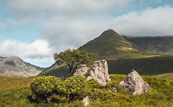 Connemara, Ireland. Elliot Voilmy@Unsplash