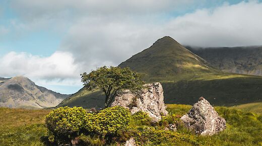 Connemara, Ireland. Elliot Voilmy@Unsplash