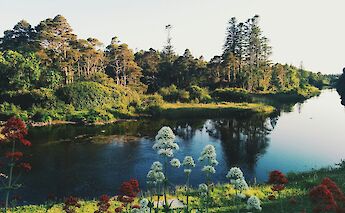 Ballynahinch Lake, Galway, Ireland. Florian Giorgio@Unsplash