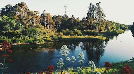Ballynahinch Lake, Galway, Ireland. Florian Giorgio@Unsplash