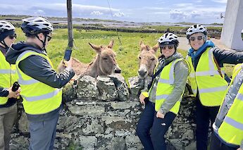 Tour group meeting local donkeys, Galway, Ireland. CC:Fat Bike Galway