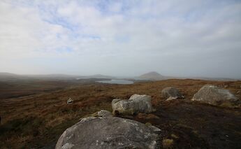 Connemara Countryside, Ireland. Unsplash: Enrica Tancioni