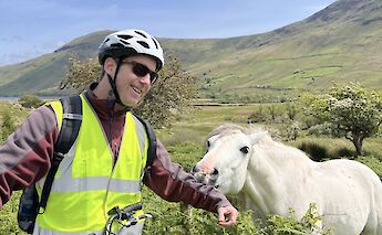 Meeting local horses, Galway, Ireland. CC:Fat Bike Galway