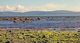 Taste of Connemara Galway Private E-Bike Tour