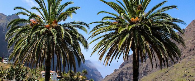 Tenerife tours
