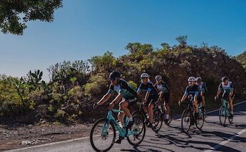 Cycling beneath trees on the Carretera Vieja, Tenerife, Spain. CC:Bike Experience Tenerife