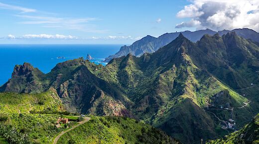 East Coast Carretera Vieja Tenerife Bike Tour, Tenerife