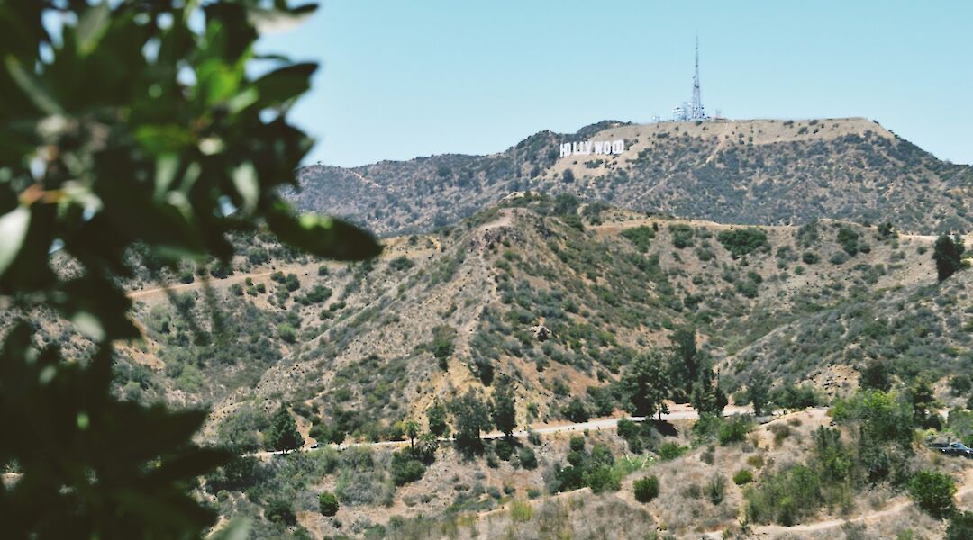 View of the Hollywood Sign from a distance, with rolling hills and foliage in the foreground.