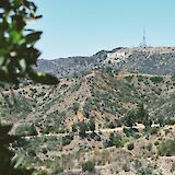 View of the Hollywood Sign from the Griffith Observatory, Los Angeles, California, USA. Laura Martin@Unsplash