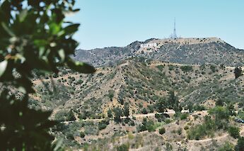View of the Hollywood Sign from a distance, with rolling hills and foliage in the foreground.
