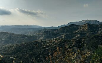 Hollywood Hills, Los Angeles, California, USA. Charles Deluvio@Unsplash