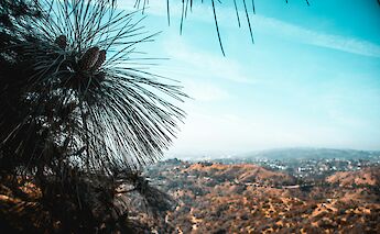 Hollywood Hills, Los Angeles, California, USA. Laurenz Heymann@Unsplash