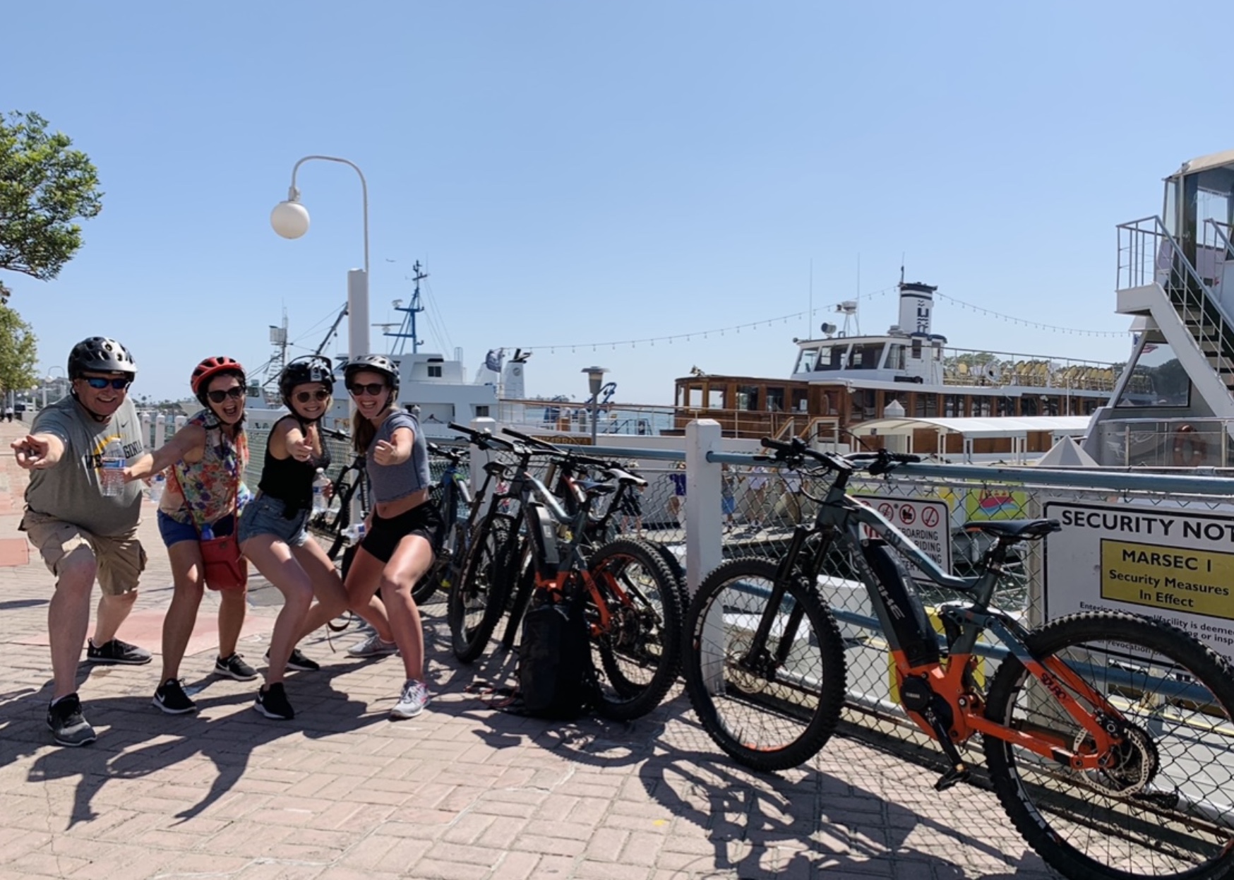 electric bicycle circuit diagram E-Bike Reference Design & Block Diagram | Reference Design