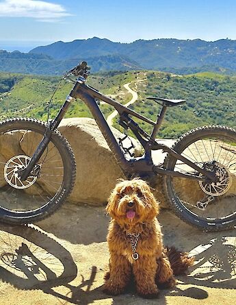 Dog sitting in front of a mountain bike, Malibu, California, USA. CC:LifeRush Adventures