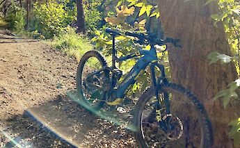 Mountain bike parked against a tree, Malibu, California, USA. CC:LifeRush Adventures