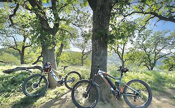 Two mountain bikes leaning against trees in a sunny, wooded area with grassy terrain in Santa Clarita, California.