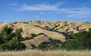 Oak Park, California, USA. Spencer Demera@Unsplash