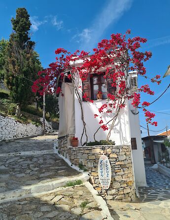 A white building adorned with vibrant red bougainvillea flowers in Chora, Alonissos, Greece.
